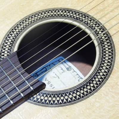 vintage CLARISSA flat top Blues GUITAR Eko guitare chitarra Italia 1972 image 20
