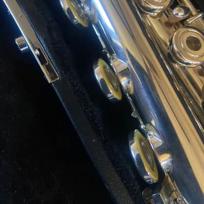 Haynes Giarindinelli GFL 10 mid 2000s - Silver plated image 10