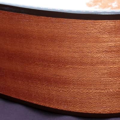 Yairi M-TFC LTD 2024 Limited production of only 10 units, Cutaway, Hand Made  - Natural Lacquer image 14