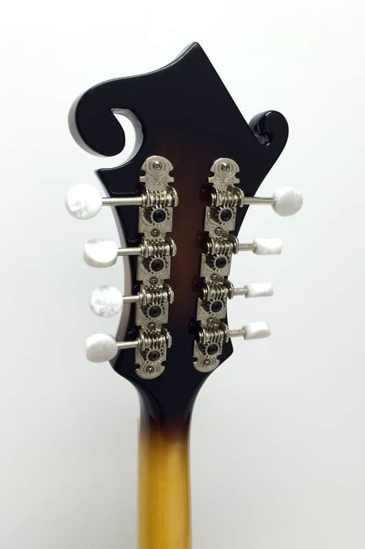 Epiphone MM-50 F-Style Mandolin - Vintage Sunburst | Reverb