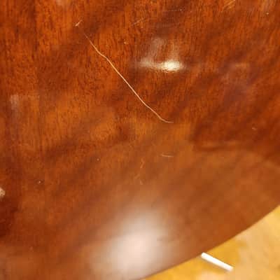 Harmony H160E Dreadnought Natural-Set Up image 12