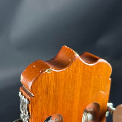 Used Takamine Jasmine ES23C TSU24935 image 23