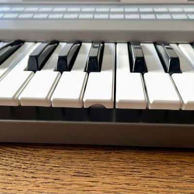 Roland JX-8P Classic 1985 Analog Synthesizer + Retroaktiv MPG-8 Programmer - Excellent image 15