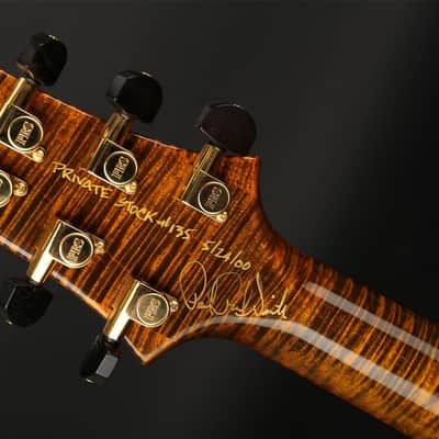 PRS Private Stock Custom 22 in Tiger Eye #135 - Pre-Owned image 9