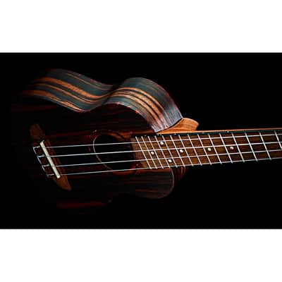 Ortega RUEB-SO image 4