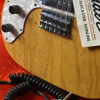 LEFTY! Vintage 1972 Fender Telecaster Thinline Natural Nitro Semi-Hollow Chambered Ash Guitar Seth Lover WR 6.3 lb HSC image 9