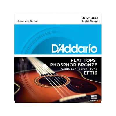EFT16 Flat Tops Light 12-53 D'Addario image 1