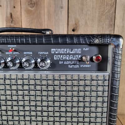 Amplified Nation Wonderland Overdrive V2 WOD50WEX Combo Near Mint 2026 - Black image 7