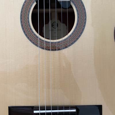 SAERS A50 Lattice - 2024, Up Grade Back & Side Cocobolo image 8