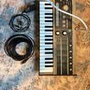 Korg MicroKORG 37-Key Synthesizer/Vocoder 2002 - 2019 - Gold