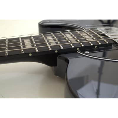 Schecter PT EX guitar in Dorian Gray B-Stock 0710 image 9