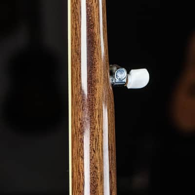 2016 Epiphone Mayfair 5-String Banjo image 8