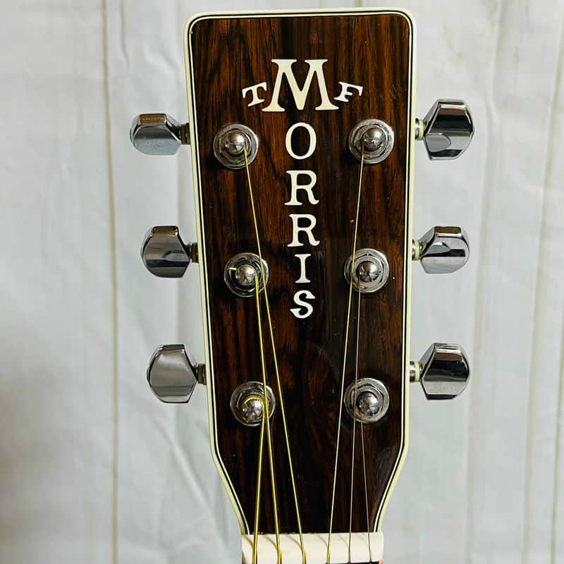 MORRIS 　SPECIAL 　TF - 50 Morris TF-50SP Brazilian Rosewood Vintage Acoustic Guitar Very