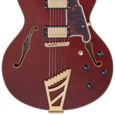 D'Angelico DAEDCVIOGS EXCEL DC Double Cutaway Semi-Hollow Body 6-String Electric Guitar w/Deluxe Hardshell Case image 5