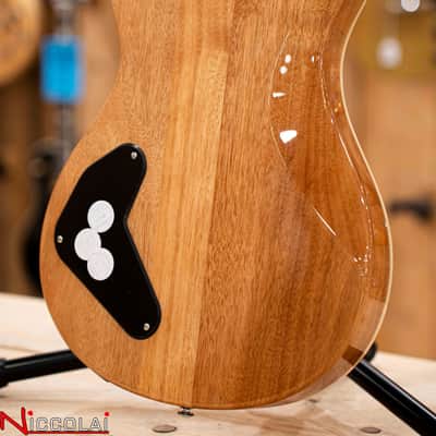 PRS SE Ed Sheeran (Hollowbody I Piezo - Baritone) Kaleidoscope image 8