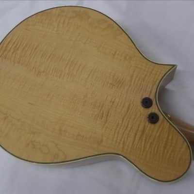 Tacoma M3 Mandolin with hard shell case image 3