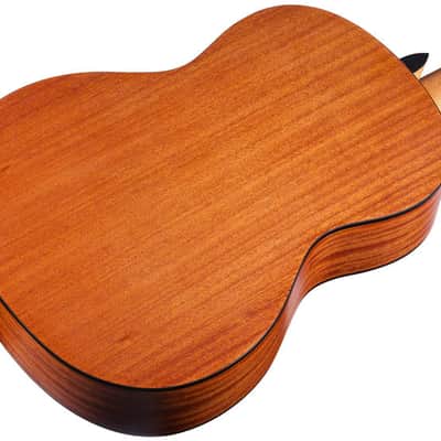 Cordoba Protege C1M Nylon Guitar image 4