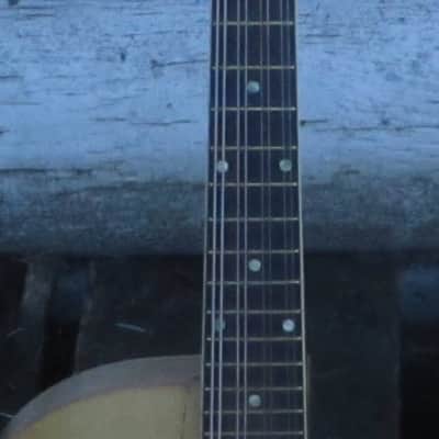 Carvin MB-1 electric mandolin image 6