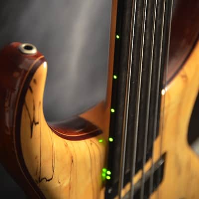 Alembic Custom CLB5 Fretless 5 String With LEDs image 8