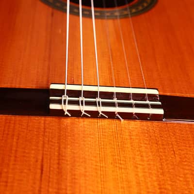Antonio Morales Nogués 2020 Negra Flamenco Guitar - The essence of modern flamenco, inspired by Paco de Lucia - check video! image 14
