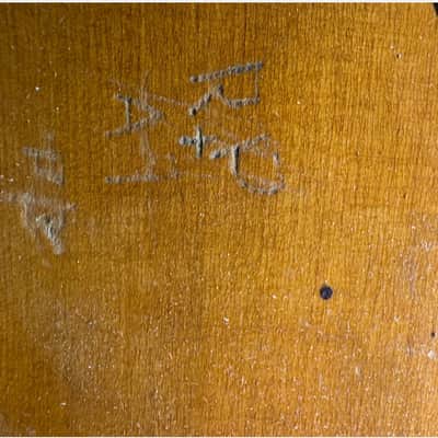 Washburn Bowl-Back Mandolin with Original Case, 1890s image 8
