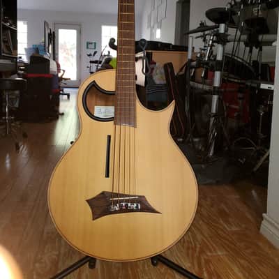 Warwick Alien Acoustic Bass 5 String  + bonus/Free ToneWood Amp for Acoustic Guitar + bonus/Free Taylor Precision Digital Hygrometer and Thermometer image 1