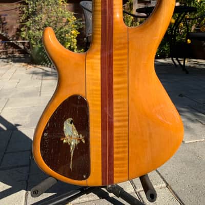 Tobias Signature 5 String CUSTOM (mid-90's) Woods and Mother of Pearl image 16