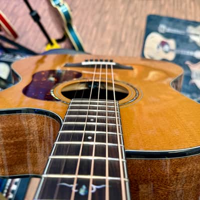 🌟NEW 2025 🌟 Cort Gold A6 Nat Electro Acoustic~ Natural~ Ebony Board~ Gig Bag! image 18