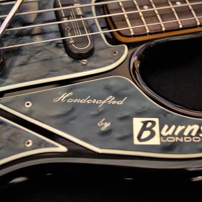 Burns Black Bison Bass 1964 image 6