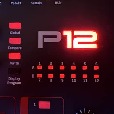 Dave Smith Instruments Prophet 12 Desktop 12-Voice Polyphonic Synthesizer 2014 - Present - Black with Wood Sides