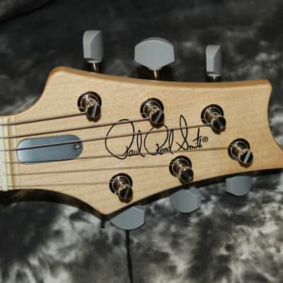PRS Sliver Sky Maple Board 2024 - Venetian Blue image 10