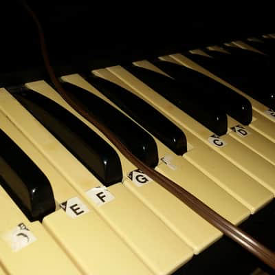 Multivox MX-51 Final Markdown! 70's Wood/Black Rare Analog Synth Electric Keyboard image 17