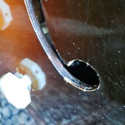 Epiphone Century 1952 - Sunburst image 8