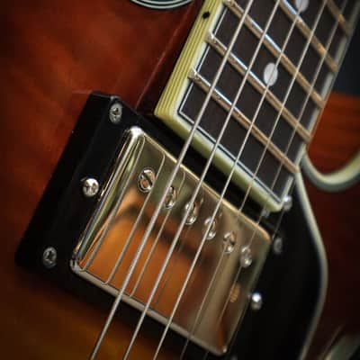 Eastman T484 Goldburst Bild 7