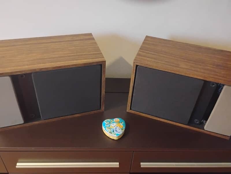 Bose Speaker Set - 301 Series II