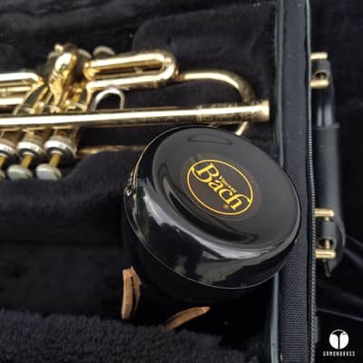Vincent Bach TR200 Step-Up Bb Trumpet  Lacquered Brass gamonbrass image 2