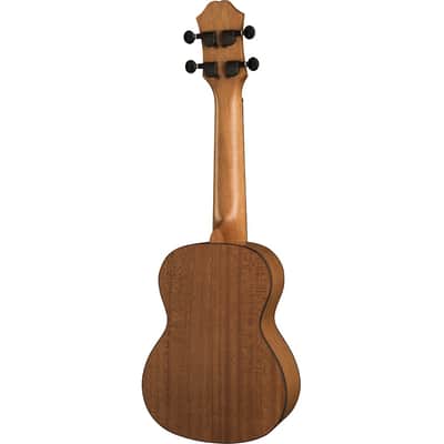 Immagine Epiphone EpiLani Sopran Ukulele - 4
