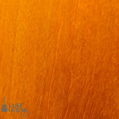 Gibson Chet Atkins CE 1993 image 10