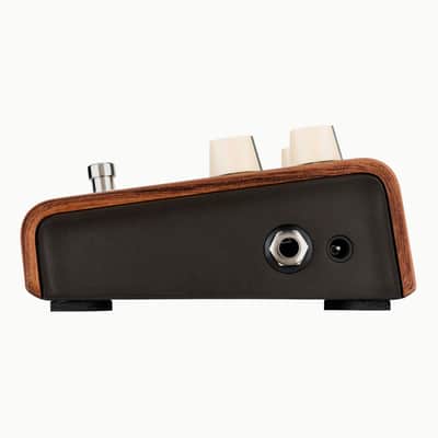 LR Baggs Align Series Reverb Acoustic Pedal image 5