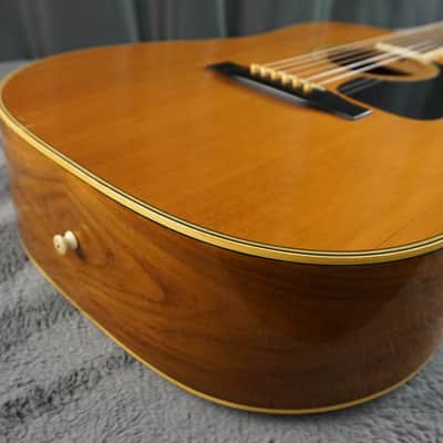 Morris MD-505 Japan Acoustic Guitar image 5