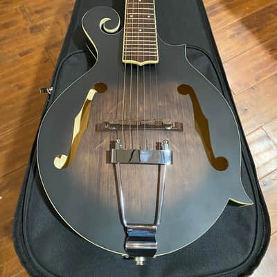 Gold Tone Manditar Mandolin F6  Satin Fast Shipping Acoustic/ Electric image 2