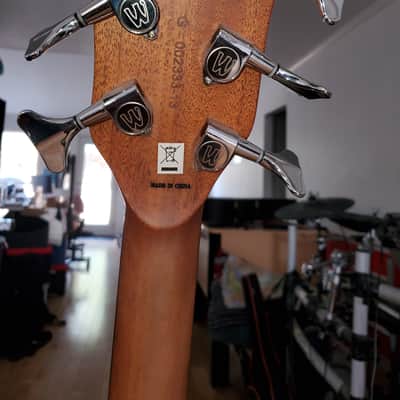 Warwick Alien Acoustic Bass 5 String  + bonus/Free ToneWood Amp for Acoustic Guitar + bonus/Free Taylor Precision Digital Hygrometer and Thermometer image 5
