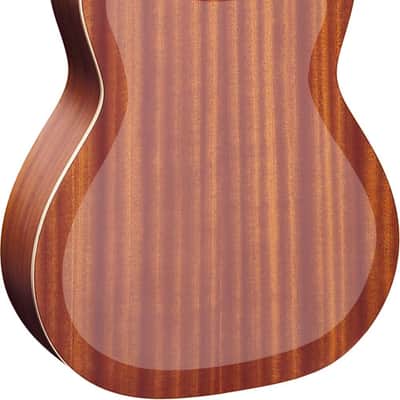 ORTEGA OBCF image 7