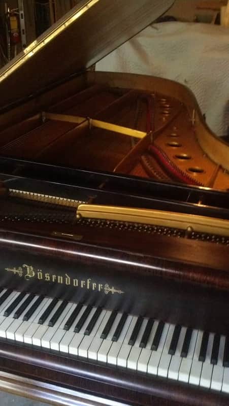 Bosendorfer Model 232 (cm) 1885 Brazilian Rosewood image 1