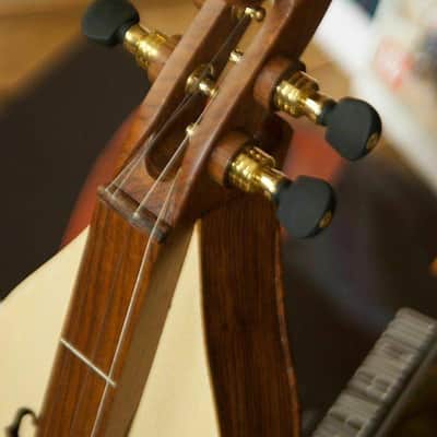 Dulcimer Package Includes: Roosebeck 4-String Sheesham Emma Arched Mountain Dulcimer + Roosebeck Dul image 3