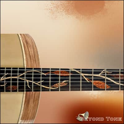 Van Gundy Customs Fall / Falcate Bracing / Boutique / Acoustic / rare image 5