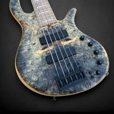 Elrick EVO Gold 5 String Buckeye Burl 2024 - Natural image 4