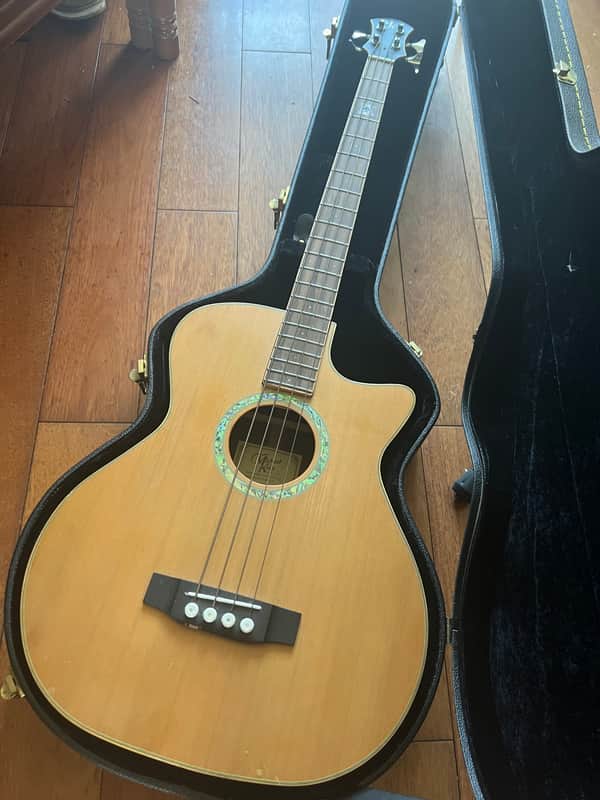 Demo video! Michael Kelly Club deluxe Acoustic Bass with hard case image 1