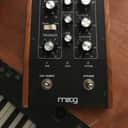 Moog Mooger Fooger 104m Super Delay 2014