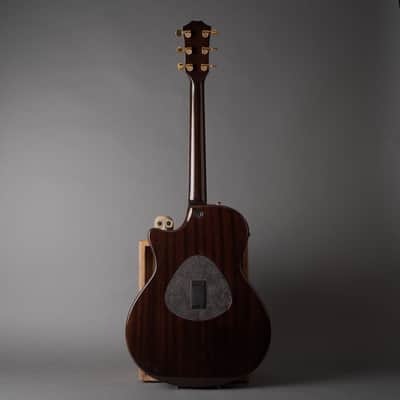 2007 Taylor T5-C2 Limited Macassar Ebony Top image 6